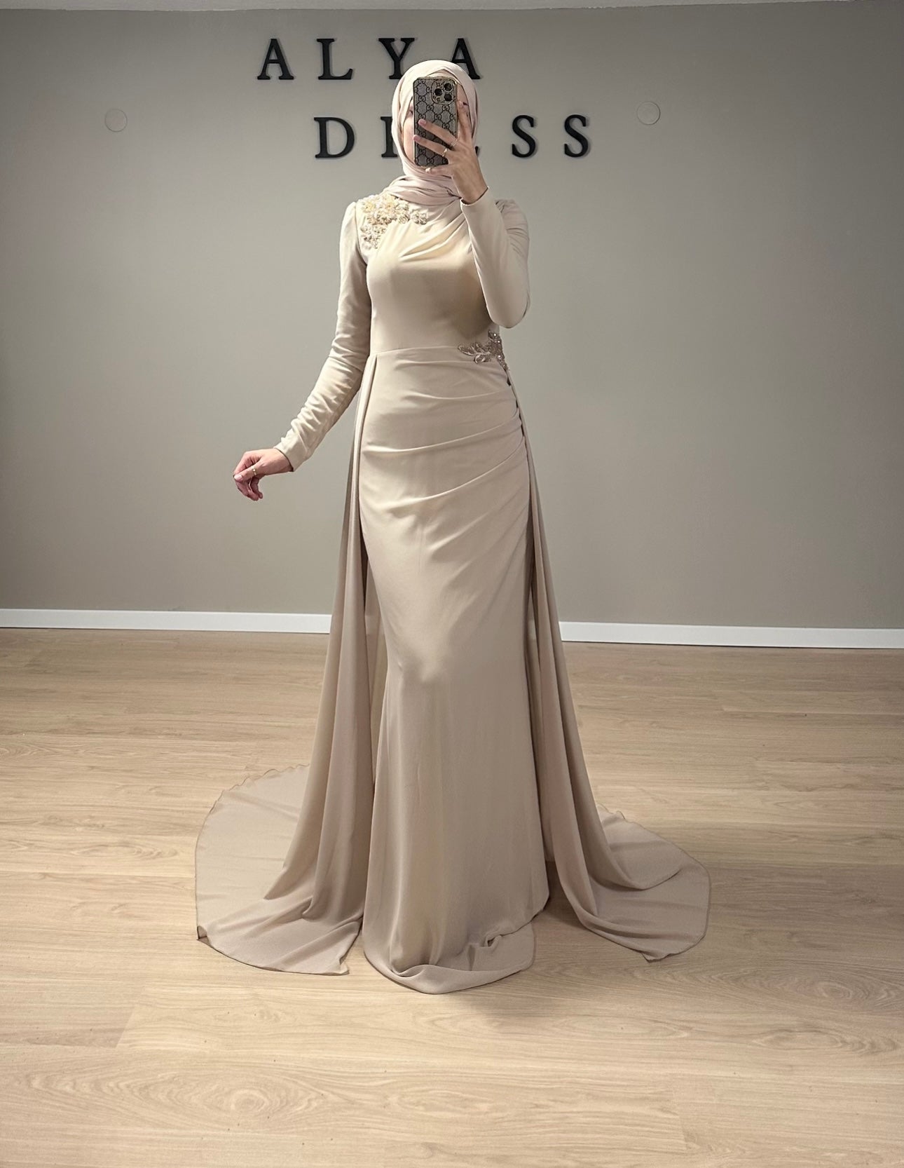 Lovely Beige Chiffon