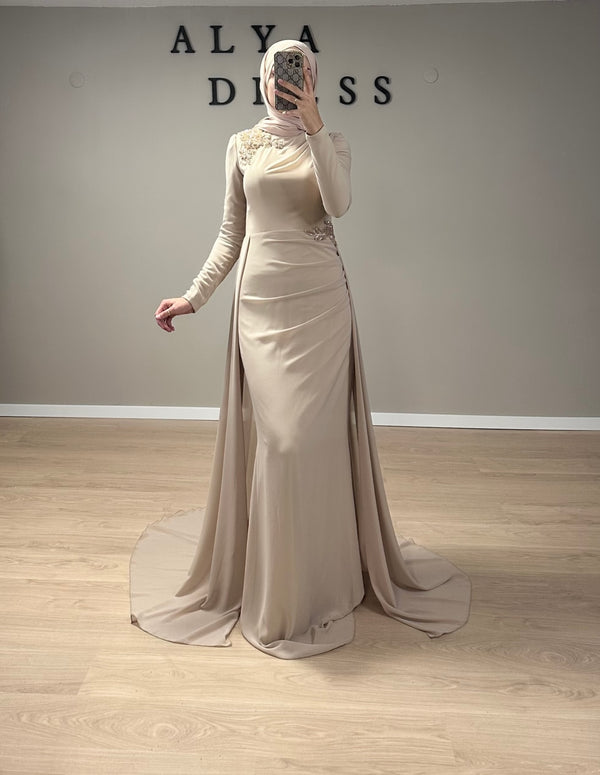 Lovely Beige Chiffon